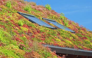 Stoke On Trent living roof systems